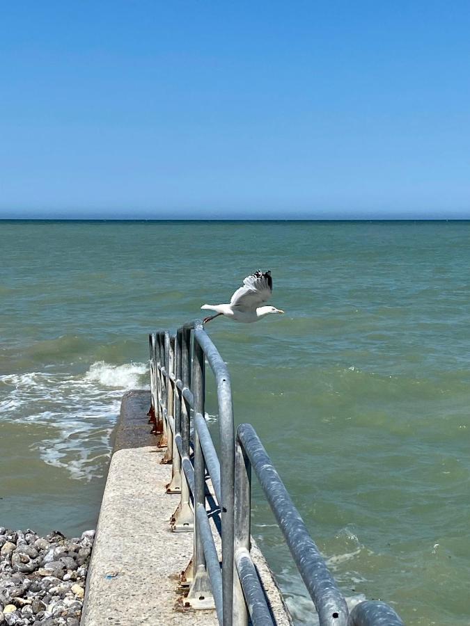 Les Cygnes De Criel-Sur-Mer Exteriör bild